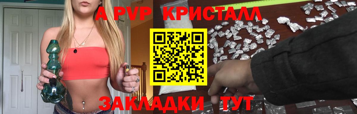 A PVP СК КРИС  Вход с VPN  Звенигород  Alfa_PVP крисы CK 