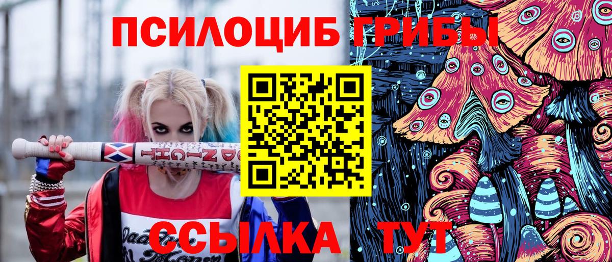 Звенигород  Галлюциногенные грибы Psilocybe  Вход с VPN 