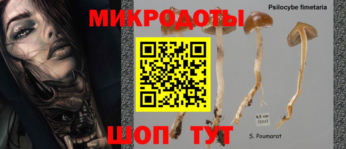 Галлюциногенные грибы GOLDEN TEACHER Звенигород